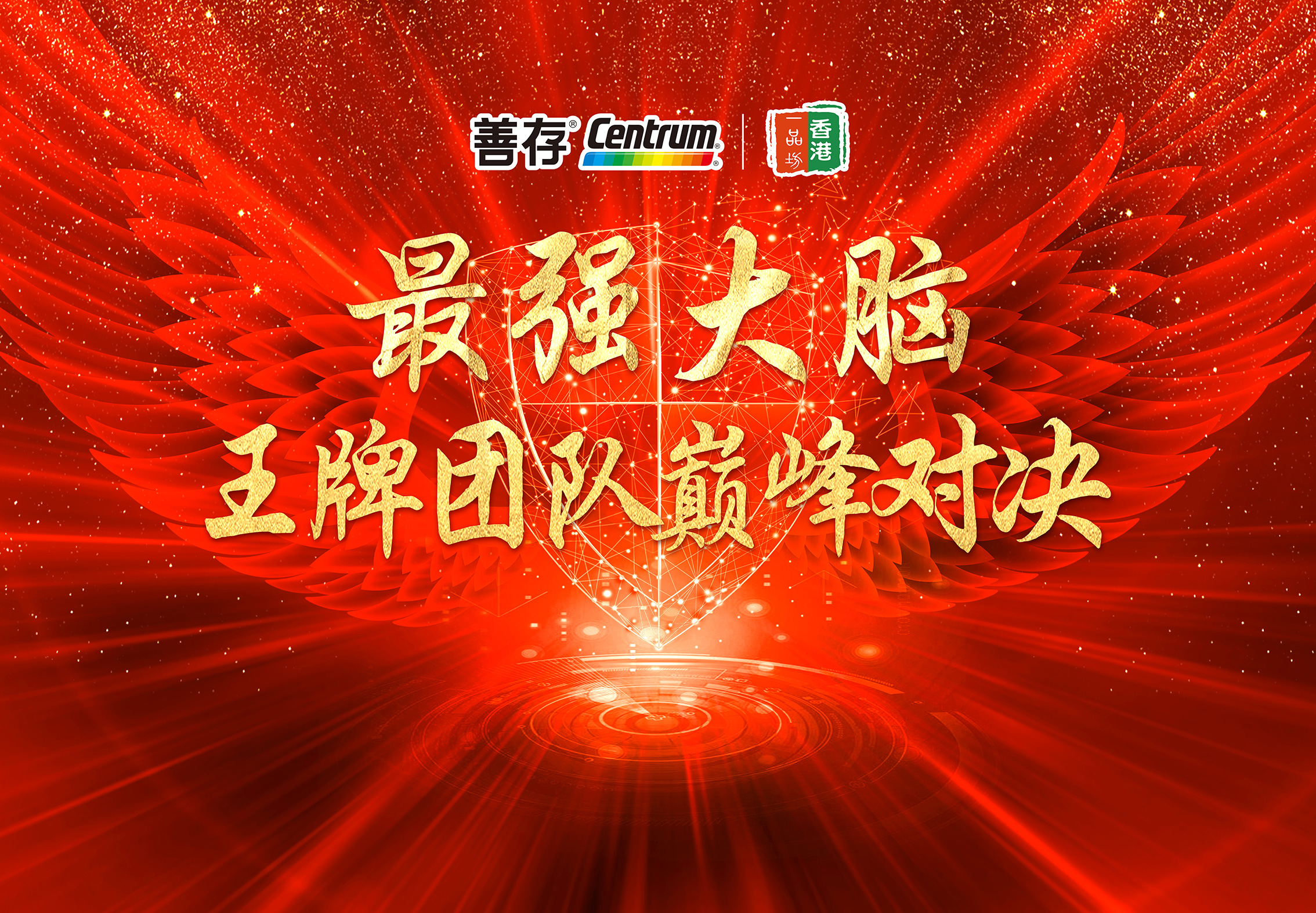 善存王牌對王牌450x300cm(已加20cm包邊.jpg 善存王牌對王牌450x300cm(已加20cm包邊.jpg