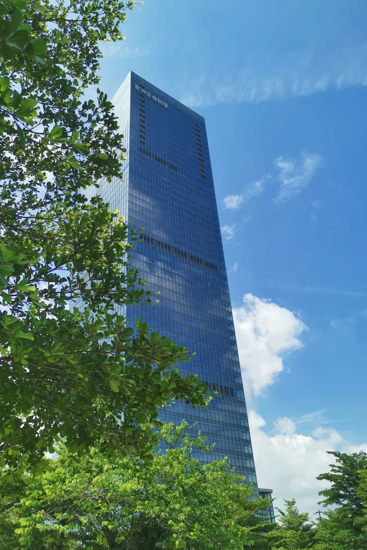 微信圖片_20231227155235.jpg 微信圖片_20231227155235.jpg