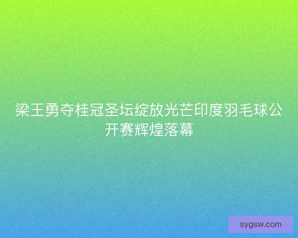 梁王勇夺桂冠圣坛绽放光芒印度羽毛球公开赛辉煌落幕